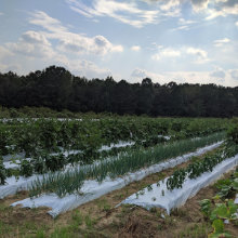 Food Justice